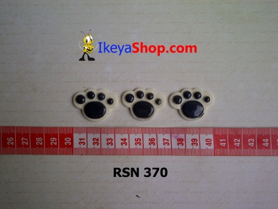 rsn 370  large2